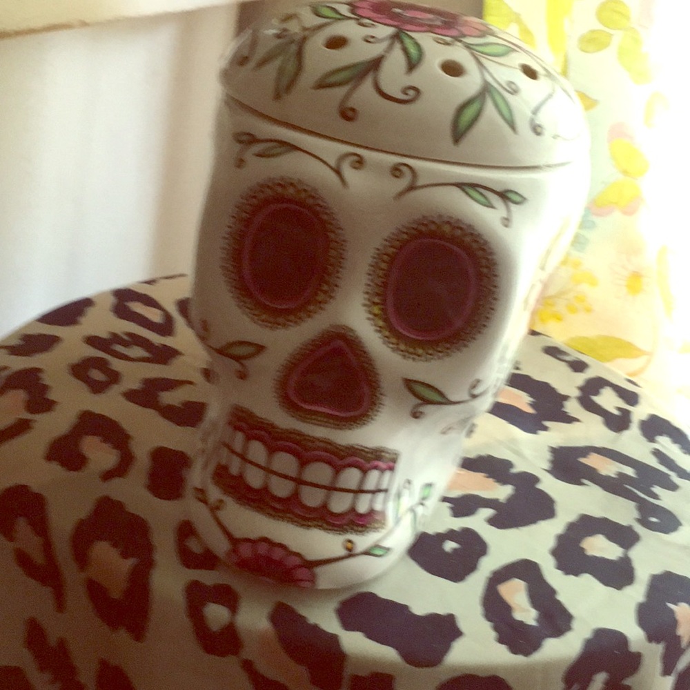 Scentsy Warmer